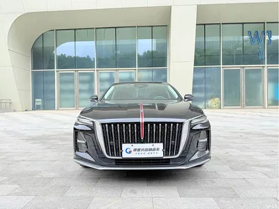 2024 Hongqi H5 2.0T Automatic Smart Connect Flag Smooth Edition, фото 2, лот 11097018