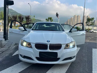 2010 BMW 3 Series 325i Luxury, фото 1, лот 10818657