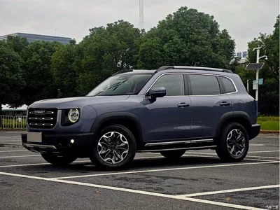 2021 Haval Big Dog 2.0T DCT 4WD Chinese Rural Dog Edition, фото 1, лот 11583160
