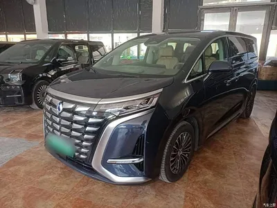 2022 Denza D9 DM-i 970 All-Wheel Drive Honor Edition, фото 2, лот 10346779