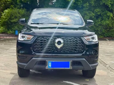 2021 Great Wall Pao 2.0T Commercial Edition Automatic Diesel 4WD Elite Long Box GW4D20M, фото 2, лот 10245858