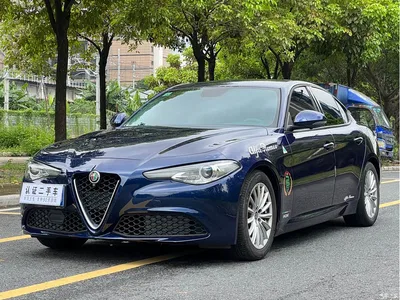 2017 Alfa Romeo Giulia 2.0T 200HP Elite Edition, фото 1, лот 10239869