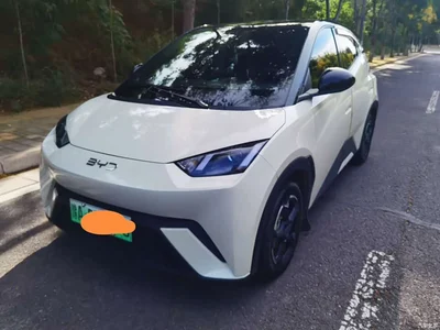 2025 BYD Seagull Smart Drive Edition 305km Vitality Version, фото 1, лот 10598406