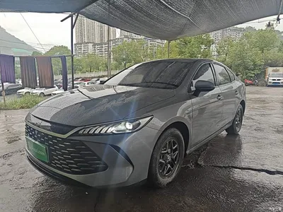 2025 BYD Qin PLUS DM-i Smart Drive 55KM Leader, фото 1, лот 11461516