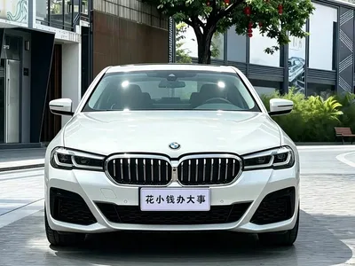 2022 BMW 5 Series 530Li Exclusive Luxury Package, фото 2, лот 10839204