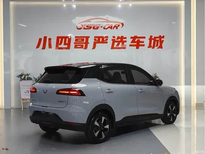 2024 Wuling Motors Wuling Binguo PLUS 401km Flagship 4-Seater, фото 4, лот 10836465