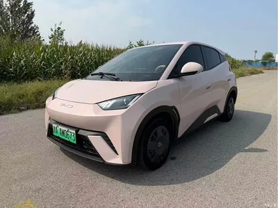 2024 BYD Seagull Glory Edition 305km Vitality Edition, фото 3, лот 10888245