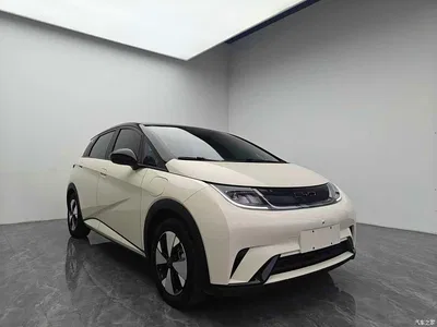 2024 BYD Dolphin Glory Edition 420km Freedom Edition, фото 3, лот 11537910