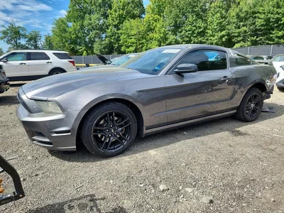2013 FORD MUSTANG, фото 1, лот 10573523