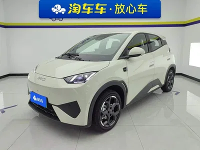 2025 BYD Seagull Smart Drive Edition 305km Freedom Version, фото 1, лот 10246498