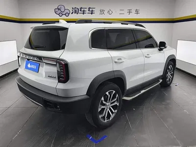 2021 Haval Big Dog 1.5T DCT 2WD Border Collie - Wangcai Edition, фото 3, лот 10391350