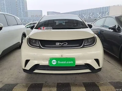 2025 BYD Dolphin 420km Freedom Edition, фото 3, лот 11095611
