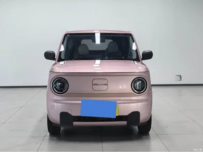 2024 Geely Galaxy Panda mini 200km Endurance Bear, фото 2, лот 10428639