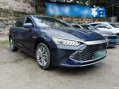 2023 BYD Qin PLUS Champion Edition DM-i 120KM Leading Type, фото 4, лот 10684781