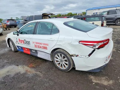 2020 TOYOTA CAMRY LE, фото 2, лот 11238247