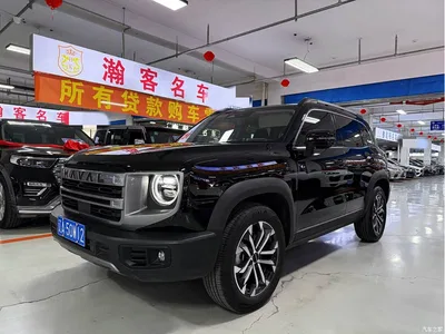 2024 Haval Big Dog 1.5T DCT Border Collie Edition, фото 1, лот 10361787