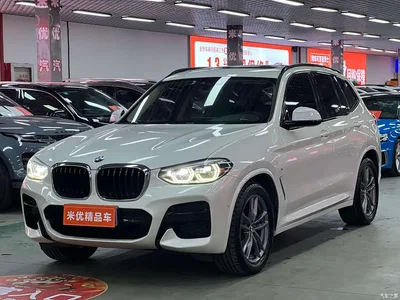 2020 BMW X3 xDrive25i M Sport Package, фото 1, лот 11139569