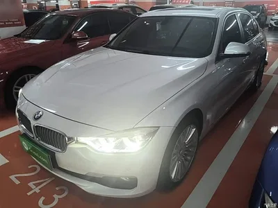 2018 BMW 3 Series 320Li Fashion Style, фото 2, лот 10457610