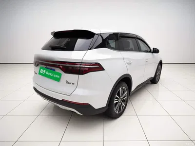 2019 BYD Song Pro 1.5T Automatic Luxury, фото 4, лот 10689383