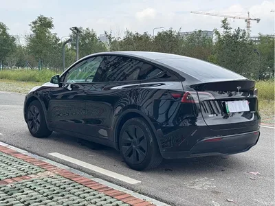 2023 Tesla Model Y Rear-Wheel Drive Edition, фото 4, лот 11189946