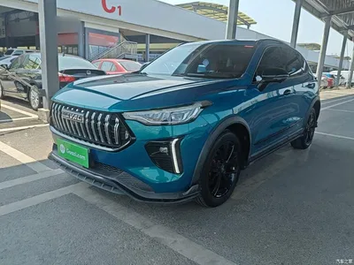 2021 Haval Chitu Turbo Edition 1.5T Golden Rabbit, фото 2, лот 10285842