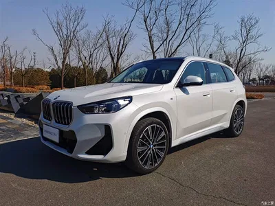 2024 BMW X1 xDrive25Li M Sport Package, фото 1, лот 10466012