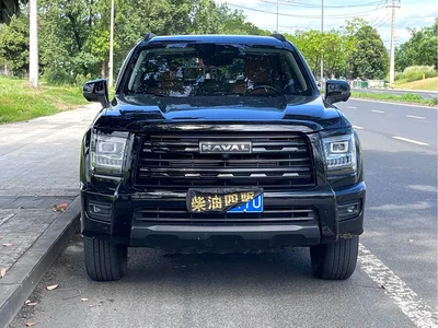 2025 Haval H5 2.0T Auto 4WD Navigation Edition (Diesel), фото 2, лот 10300967