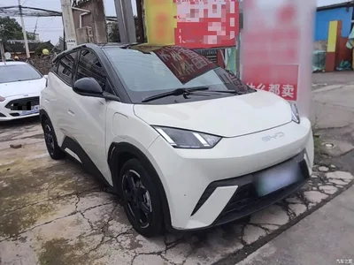 2023 BYD Seagull Freedom Edition, фото 4, лот 11179268