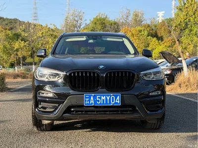 2018 BMW X3 xDrive28i Luxury Package China VI, фото 4, лот 10460802