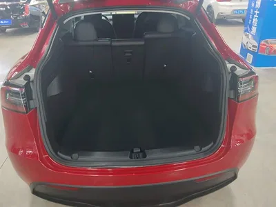 2021 Tesla Model Y Model Long Range AWD, фото 4, лот 10712664