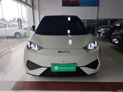 2025 BYD Seagull Smart Drive Edition 305km Freedom Version, фото 3, лот 11133267