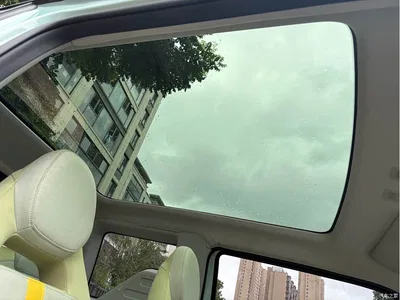 2023 Geely Galaxy Panda Mini 200km Lively Bear, фото 4, лот 10430871
