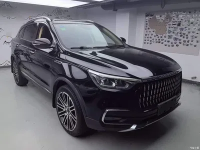 2018 Leopaard Mattu 1.6T GDI DCT Premium Edition, фото 4, лот 11643848