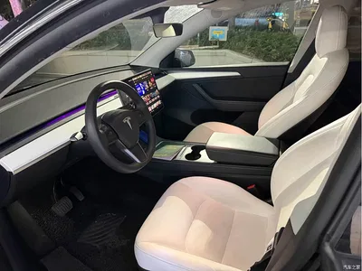 2021 Tesla Model Y Standard Range Rear-Wheel Drive, фото 2, лот 10954762