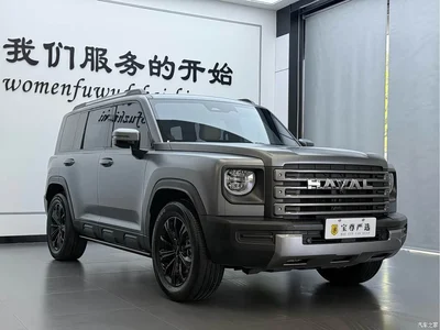 2024 Haval Meng Long NEV Hi4 145 Cross-country Edition, фото 3, лот 10283415