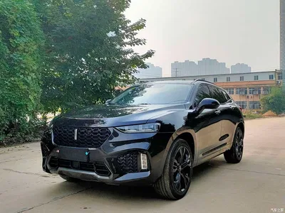 2017 WEY VV7 2.0T Flagship, фото 1, лот 10905251