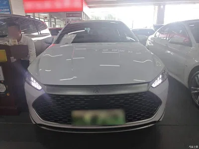 2023 BYD Qin PLUS Champion Edition DM-i 120KM Excellence, фото 3, лот 11582336