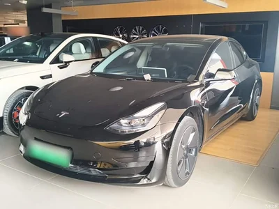 2022 Tesla Model 3 Model Rear-Wheel Drive Version, фото 1, лот 11088464