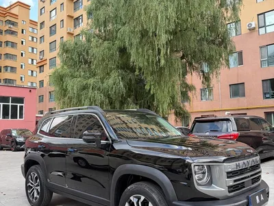 2024 Haval Big Dog 1.5T DCT Border Collie Edition, фото 3, лот 10361547