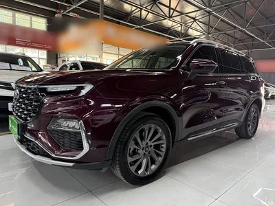 2021 Ford Territory EcoBoost 225 Premium 6-seater, фото 1, лот 10301600