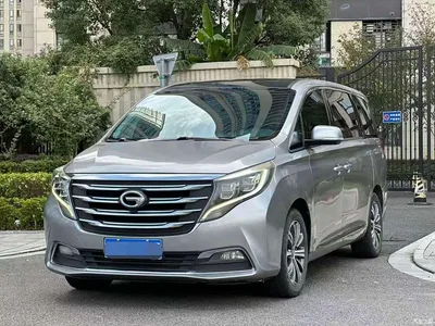 2018 GAC Trumpchi Trumpchi M8 320T Premium Edition, фото 1, лот 11139278