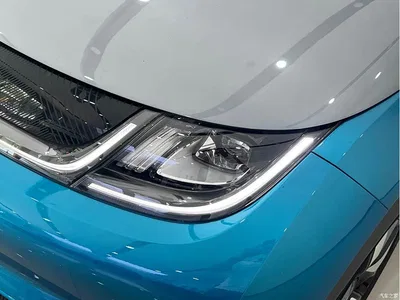 2023 BYD Dolphin 401km Knight Edition, фото 3, лот 10251570