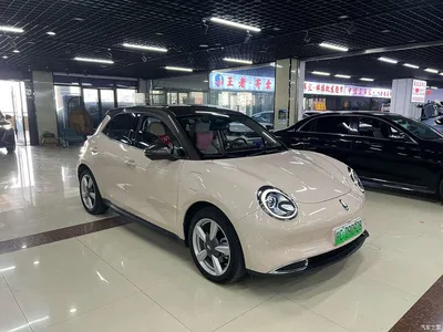 2021 Ora Good Cat 400km Standard Range Official Version (NMC), фото 3, лот 10696602