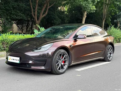 2022 Tesla Model 3 Model Rear-Wheel Drive Version, фото 1, лот 10351931