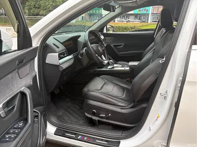 2019 BYD Song Pro New Energy EV High-Power Comfort Version, фото 4, лот 11007444
