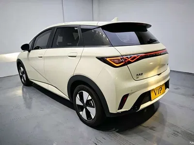 2024 BYD Dolphin Glory Edition 420km Fashion Edition, фото 4, лот 10250390