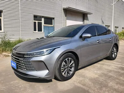 2024 BYD Destroyer 05 Glory Edition DM-i 55KM Luxury, фото 1, лот 10402063