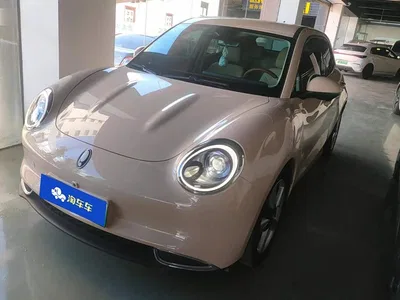 2023 Ora Good Cat 401km Standard Range Luxury LFP, фото 1, лот 10435414