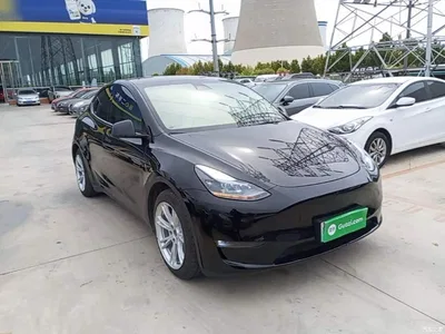 2021 Tesla Model Y Standard Range Rear-Wheel Drive, фото 4, лот 11205968