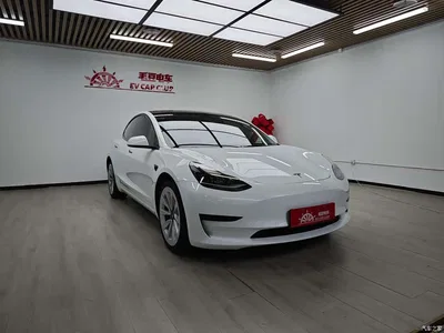 2022 Tesla Model 3 Model Rear-Wheel Drive Version, фото 1, лот 10449714